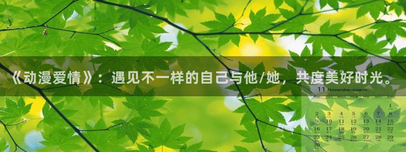 91动漫视频软件：《动漫爱情》：遇见不一样的自己与他/她，共度美好时光。