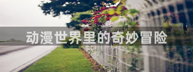 在线看91动漫：动漫世界里的奇妙冒险