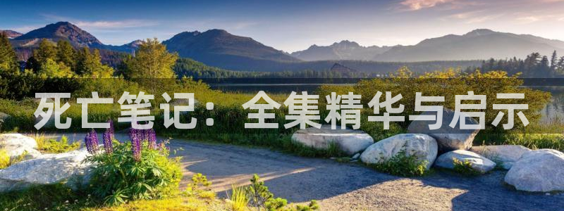 91动漫视频：死亡笔记：全集精华与启示